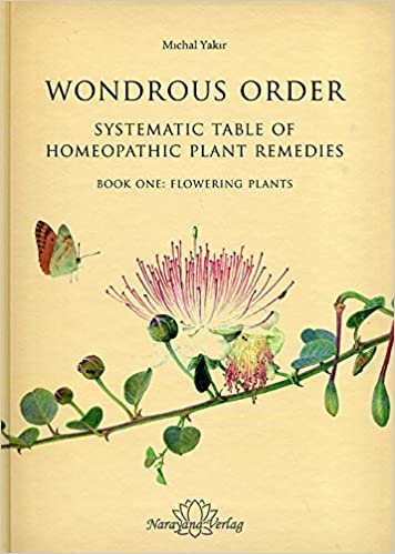 (image for) Wondrous Order - Systematic The Table of Homeopathic Plant Remedies (Used Like New)